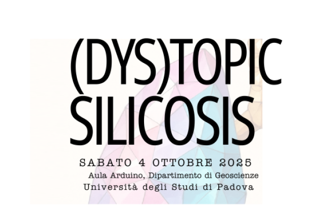 Collegamento a Convegno (Dys)topic Silicosis